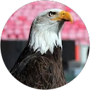 miguel C. profile picture