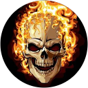 Photo de profil de Igor S.